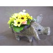 北海道旭川市水野生花店の花　ブタさんアレンジ